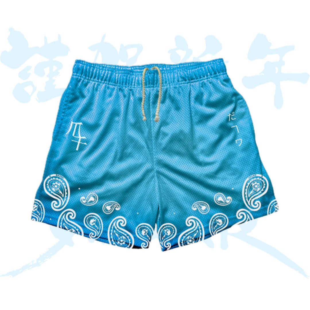 Sky Blue Unisex Athletic Shorts - Molty.fit